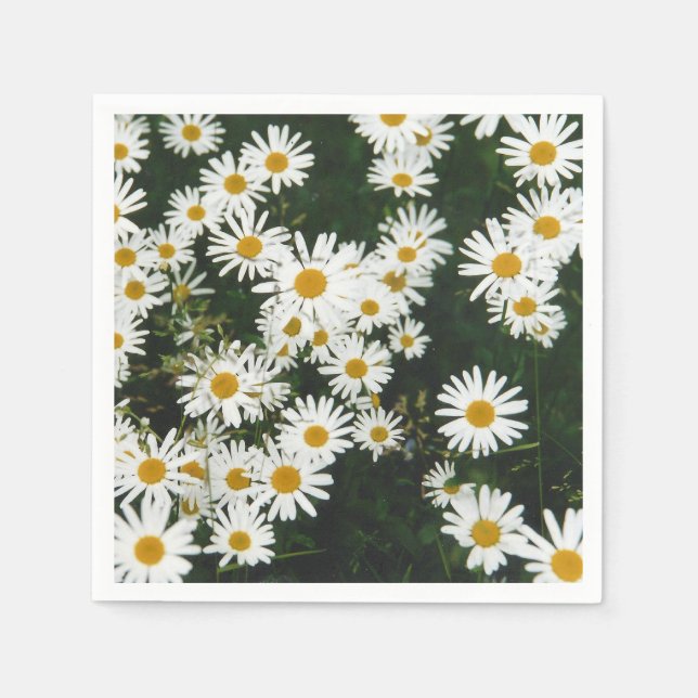 White Oxeye Daisy Meadow Serviette (Vorderseite)