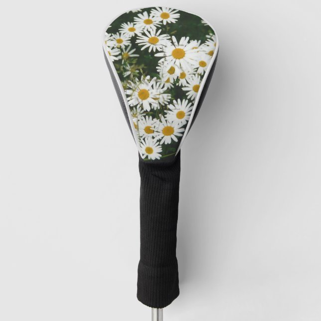 White Oxeye Daisy, Moon Daisy Meadow Golf Headcover (Vorderseite)