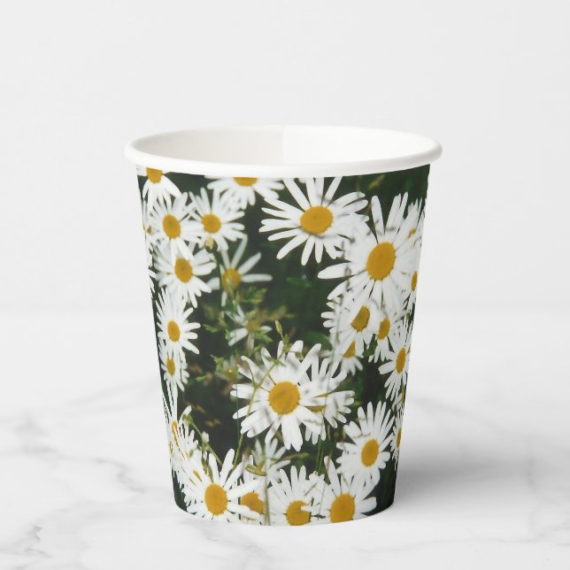 White Oxeye Daisy, Moon Daisy Meadow Pappbecher (Links)