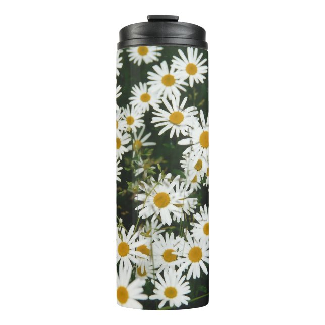 White Oxeye Daisy, Moon Daisy Meadow Thermosbecher (Vorderseite)
