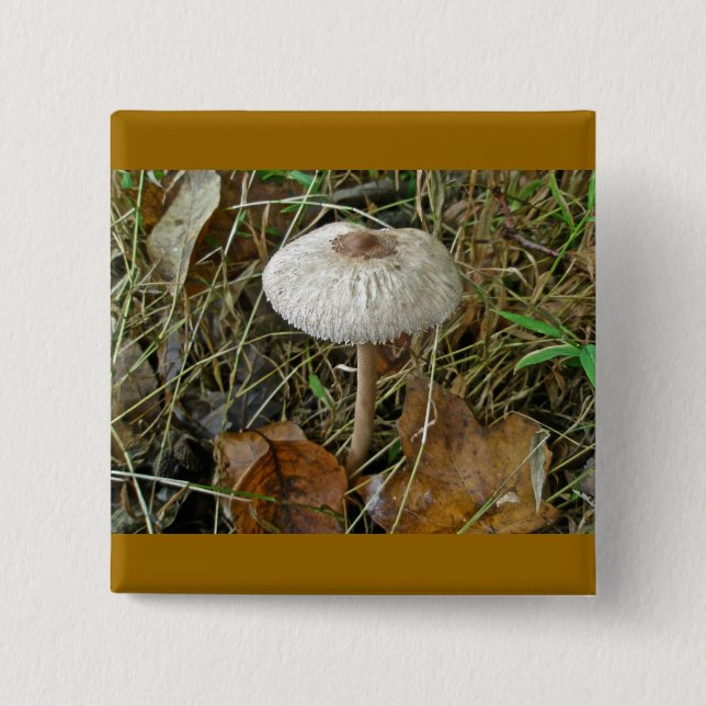 White Parasol Mushroom Magnet Button (Vorderseite)