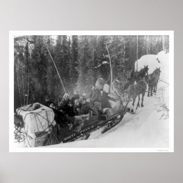 White Pass Alaska Schlittelbahn 1903 Poster (Vorne)