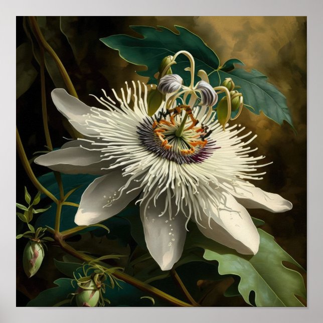 White Passion Blume Art Print Poster (Vorne)
