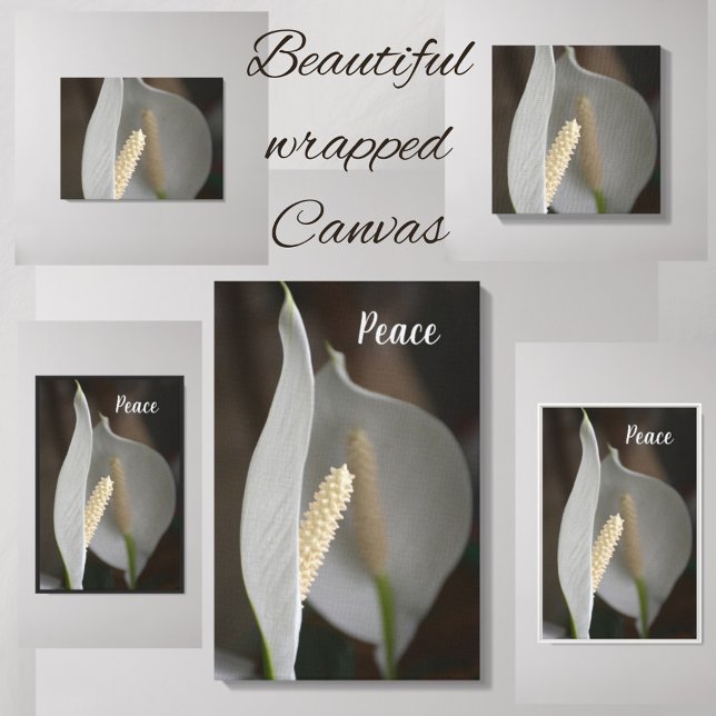 White Peace Lily Floral Elegante Fotografie Leinwanddruck (Von Creator hochgeladen)