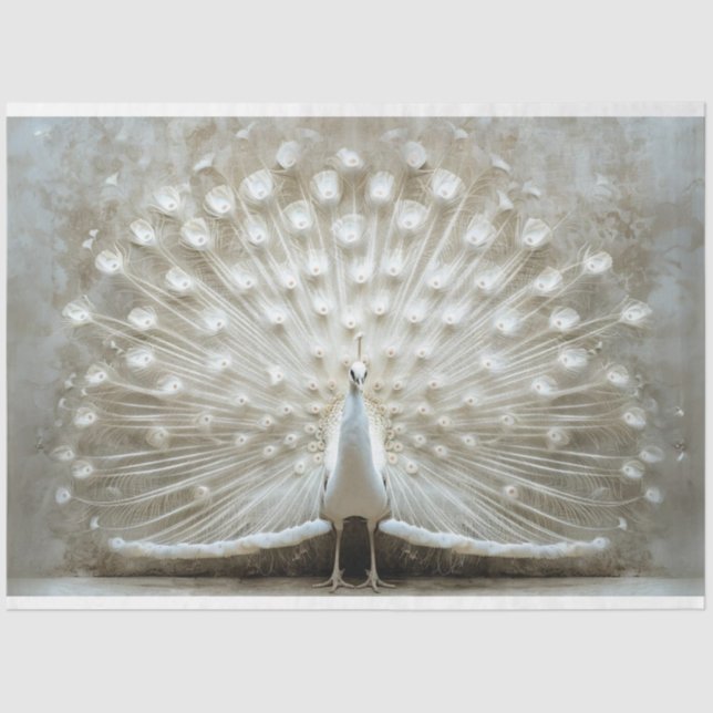 White Peacock Feathers ungezaubert Decoupage Seidenpapier (Vorderseite)