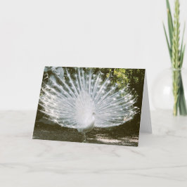 White Peacock Note Card<Blank Inside> Dankeskarte