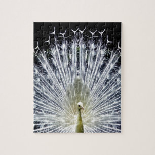 White Peacock Pavo Animalia Puzzle