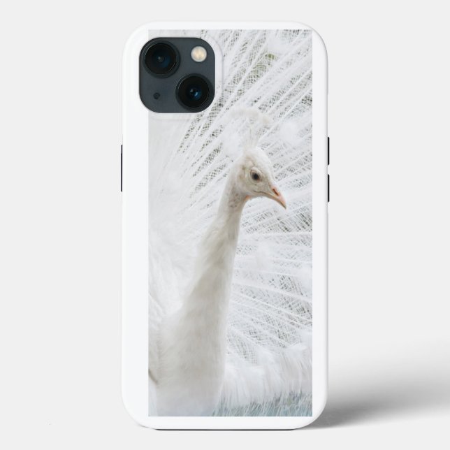 White Peacock schöne Federn Case-Mate iPhone Hülle (Rückseite)