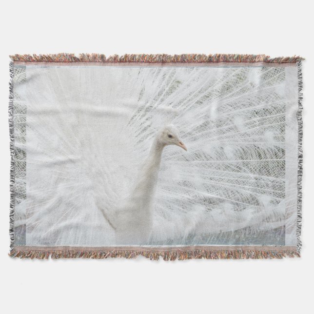 White Peacock schöne Federn Decke (Vorderseite)