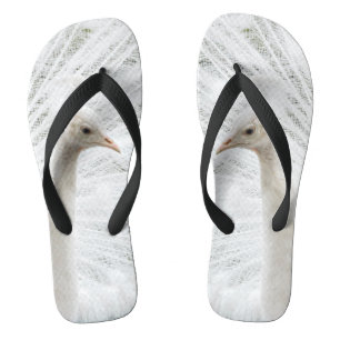 White Peacock schöne Federn Flip Flops