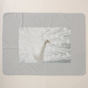 White Peacock schöne Federn Sherpadecke
