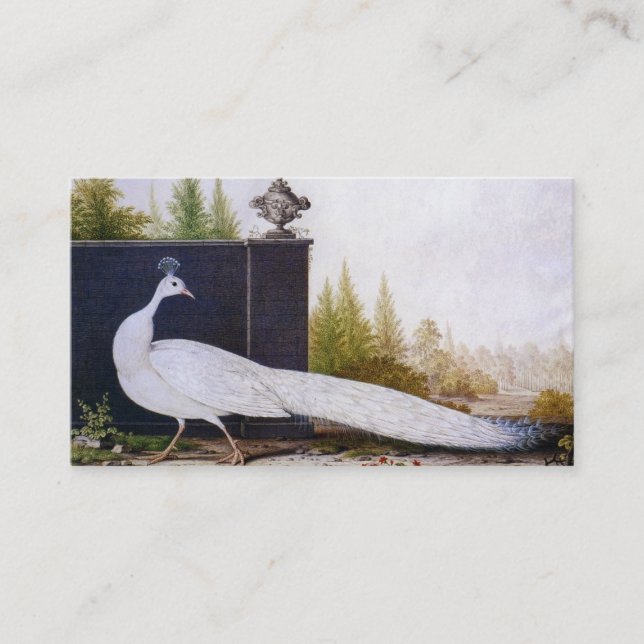 White Peacock Visitenkarte (Vorderseite)