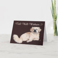 White Pekingese Get Well Card