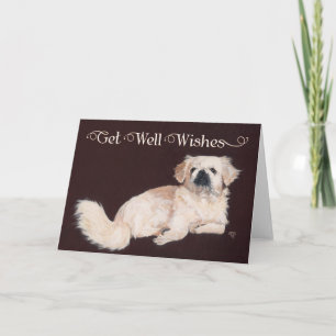 White Pekingese Get Well Card Karte