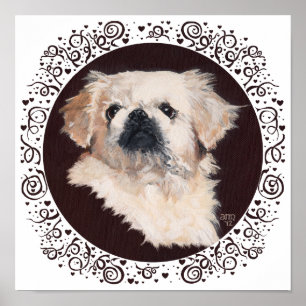 White Pekingese Kopfstudie Poster