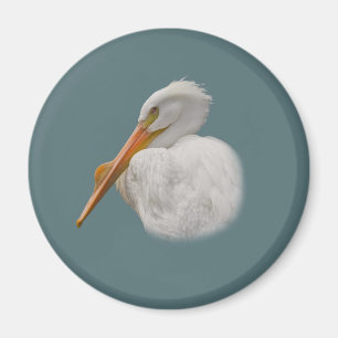 White Pelican Magnet