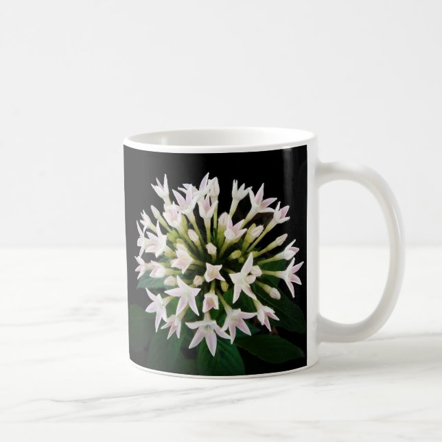 White Pentas Kaffeetasse (Rechts)
