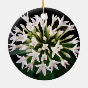 White Pentas Keramik Ornament