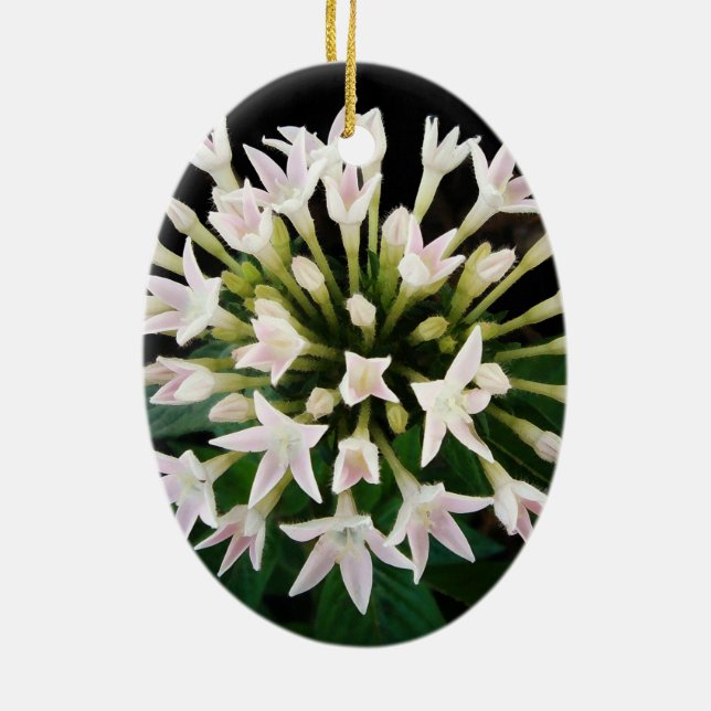 White Pentas Keramikornament (Hinten)