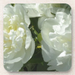 White Peonies Getränkeuntersetzer<br><div class="desc">Romantische,  elegante,  klassische Vintage Pfannkuchen - blumengeschmücktes Foto von H Cooper</div>