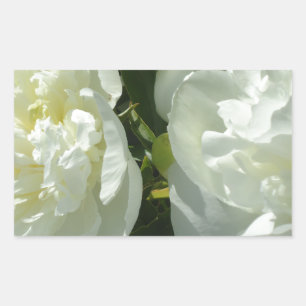 White Peonies Rechteckiger Aufkleber