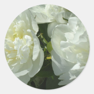 White Peonies Runder Aufkleber