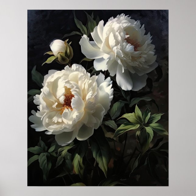 White Peony Blume Art Print Poster (Vorne)