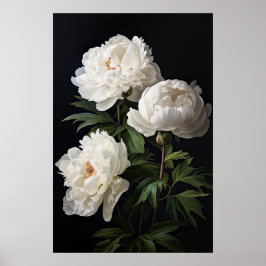 White Peony Blume Art Print Poster