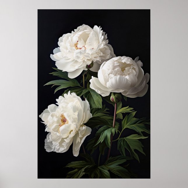 White Peony Blume Art Print Poster (Vorne)