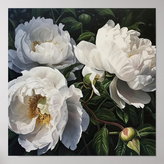 White Peony Blume Art Print Poster (Vorne)