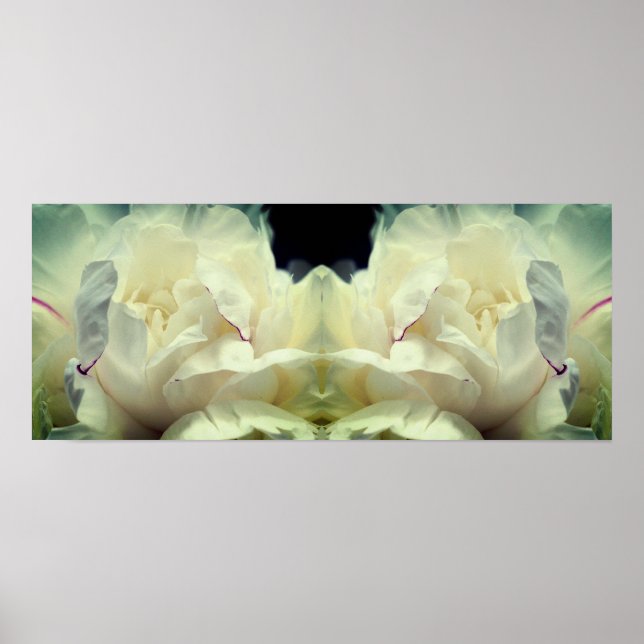 White Peony Blume in Bloom Mirror Abstrakt Poster (Vorne)