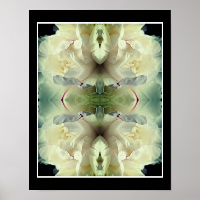 White Peony Blume in Bloom Nah up Abstrakt Poster (Vorne)