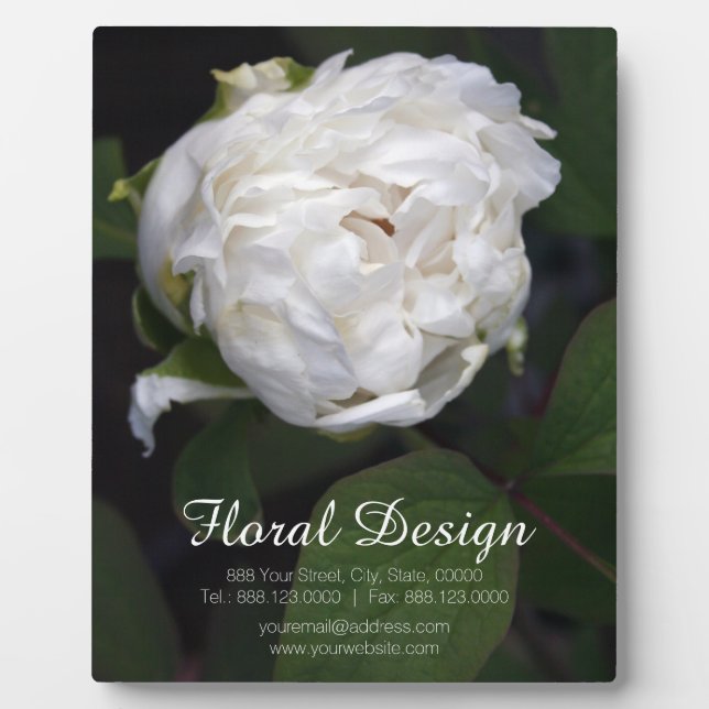 White Peony Floral Fotografie Plaque Fotoplatte (Vorderseite)