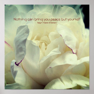 White Peony Inner Peace Inspiration Poster