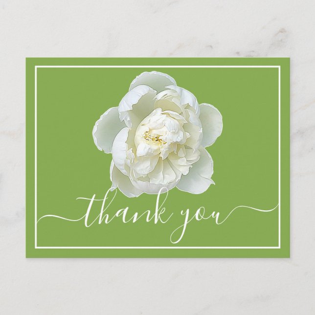 White Peony Lime Green Hintergrund Danke Postkarte (Vorderseite)