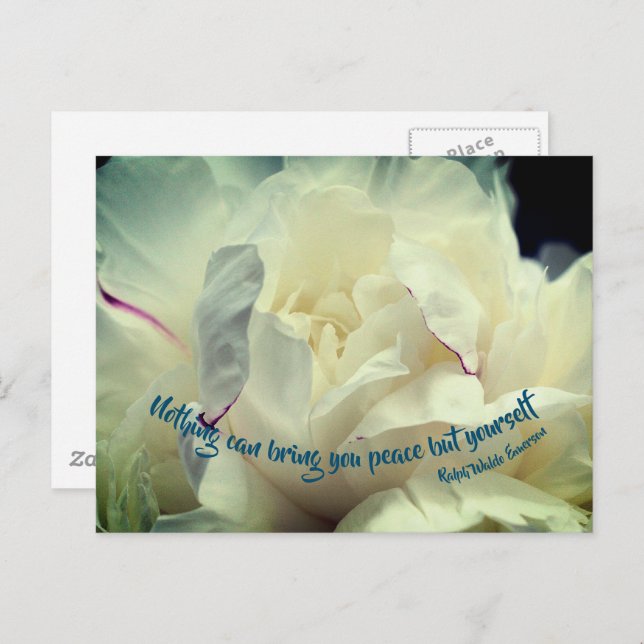 White Peony Peace Inspiration  Postkarte (Vorne/Hinten)
