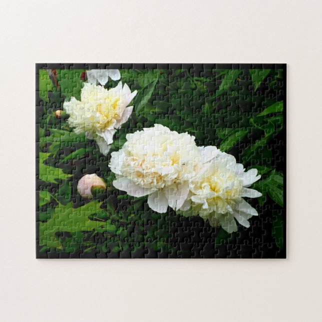 White Peony Trio Puzzle (Horizontal)