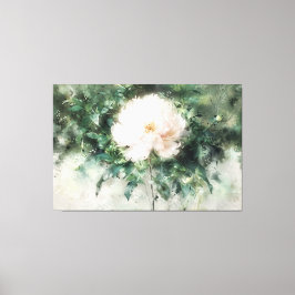 *~* White PEONY TV2 Art Stretched Canvas Print Leinwanddruck