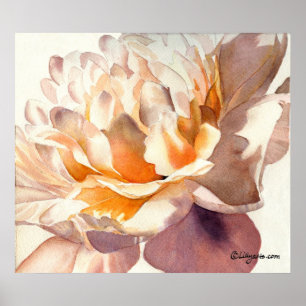 White Peony Watercolor Poster drucken