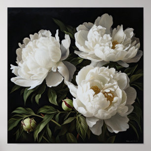 White Peonys Blume Art Print Poster