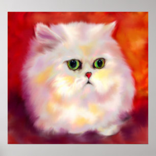 White Persian Cat Fine Art Print Poster