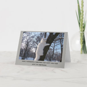 White Persian Cat Up a Tree Christmas Personalisie Feiertagskarte