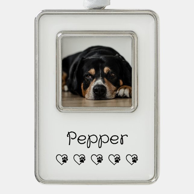 White Pet Photo Ornament - Holiday Framed Rahmen-Ornament Silber (Vorderseite)