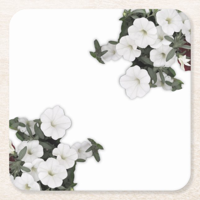 White Petunia Untersetzer (Vorderseite)