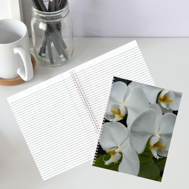 White Phalaenopsis Orchids Blumenbuch Notizbuch (In Situ)