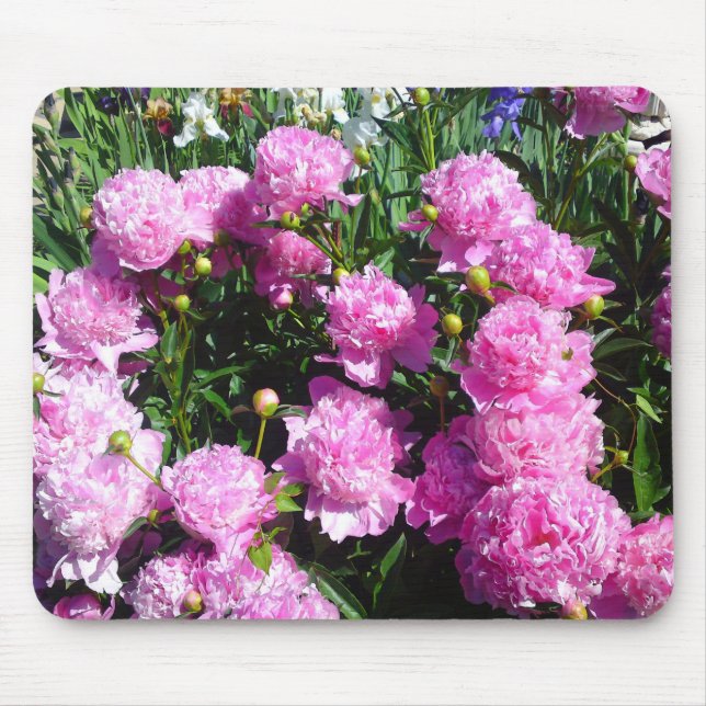 White Pink Peony Mousepad (Vorne)