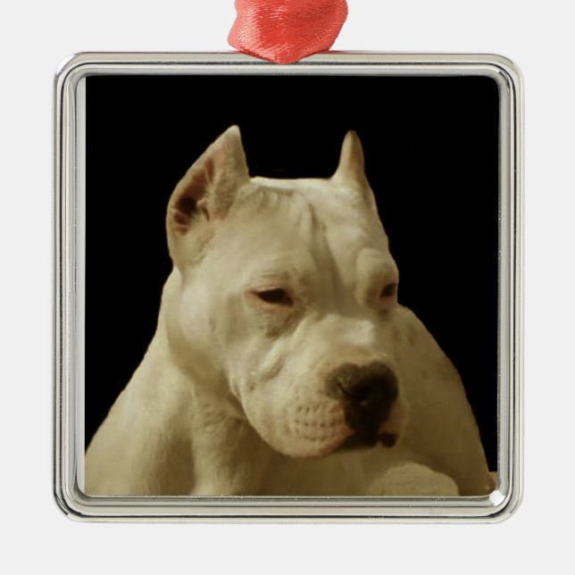 White Pitbull Terrier Ornament Aus Metall (Vorne)