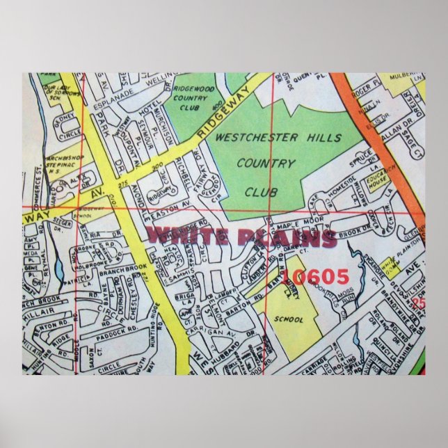 White Plains, NY Vintag Map Poster (Vorne)
