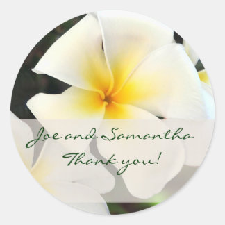White Plumeria Blumen Dankeschön Aufkleber