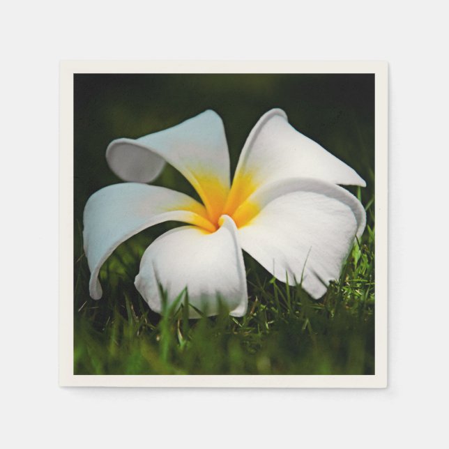 White Plumeria Frangipani Hawaii Blume Serviette (Vorderseite)